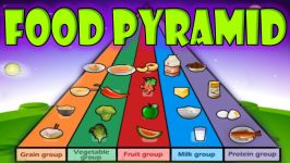 Nutrition Food Pyramid Healthy Eating Educational Videos for Kids Funny Game