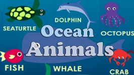 Learn Animals of the Ocean Flashcards Find + Count