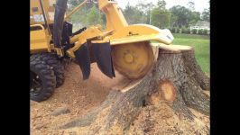 Amazing Stump Grinder  tree clearing machine  tree trimming equipment