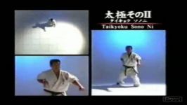 shinkyokushin Taikyoku Sono Ni