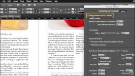 دانلود آموزش امکانات ابزارهای جدید InDesign CC 2017..