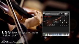 معرفی وی اس تی ویولا Aria Sounds LSS Solo Strings