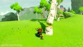 نمایش مبارزات The Legend of Zelda Breath of the Wild