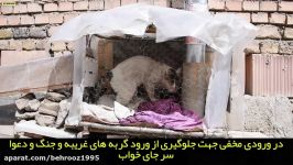 ساخت خانه برای گربه های بی خانمان درفصل زمستان