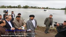 پاکسازی تالاب ملاسرای شهرستان شفت سنبل آبی