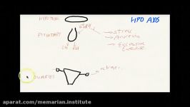 آمنوره اولیه در مقاسه آمنوره ثانویه USMLE