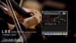 بررسی وی اس تی Aria Sounds London Solo Double Bass