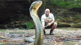 Snake Catchers Protecting The Worlds Deadliest Snakes