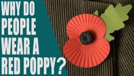  Why do people wear a red poppy What is Poppy Day Rememberance Day  English Topic    اصلاح