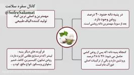 کشت پنبه تراریخته در ایران