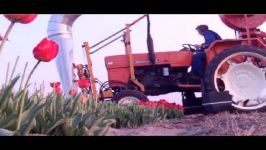  TOP 15 flowers harvesting Best agricultural technology Most amazing fruit harvesting machines 