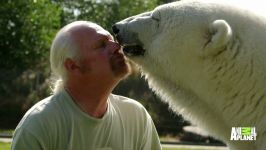 خرس قطبی به فرزند خواندگی یک انسان