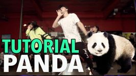  PANDA  Desiigner Dance TUTORIAL  MattSteffanina Chore