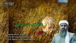 ماموستا كریكار  داستان زیبای تمیم داری