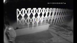  Theft Captured by CCTV night Vision camera 