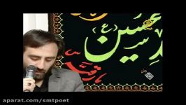 شعرخوانی سیدمسعود طباطبائی در شبکه آفتاب