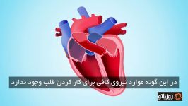 وقتی قلب کار می افتد چه اتفاقی برای بدن رخ می دهد