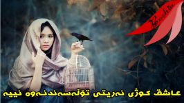 محسن چاوشی ، بید بی مجنون