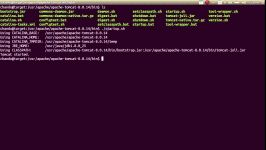  Apache tomcat installation in LinuxUnix 