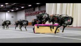 5 New Technology 2016  Military Robots  Awesome Robots