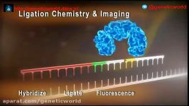 NGS  Next generation sequencing