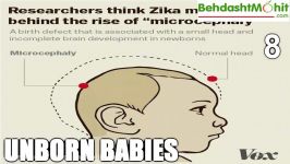 بیماری خطرناک زیکا zika virus