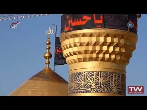 مداحی حاج عبدالرضا هلالی سینه زنی شب 5 محرم 95