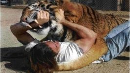 Best Videos Tiger Attack and kill Humans Compilation 2015 HD