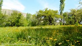 ویدئو کلیپ روستای میرجان صدای احمد نائبی