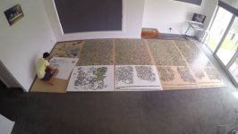  33600 piece jigsaw puzzle time lapse 