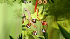 Puzzle Nuts HD