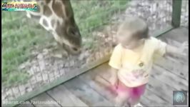 Kids and Zoo Animals  Funniest Videos  TRY NOT TO LAUGH