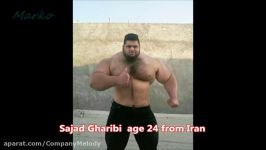 سجاد غریبی ملقب به هالک ایرانی