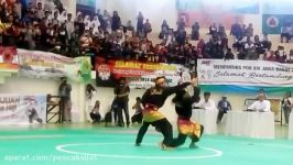 pencak silat