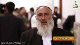 سخنان جالب مولوی اهل سنت در خصوص زیارت حرم امام رضا ع