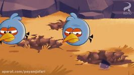 انیمیشن انگری بردز Angry Birds