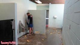 ESCAPED GORILLA BATHROOM PRANK 2015 Best VIDEOS ever #219 VIRAL SECTION