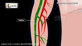 Medical Videos Understanding Blood Pressure