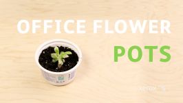 #GreenHacks Office Flower Pots