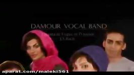 گروه خوانندگی دامور  گروهی تنها استفاده دهان بدون هیچ آلتی موسیقی تولید می کند