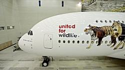 درج حیوانات در حال انقراض بر بدنه هواپیمای A380 امارات