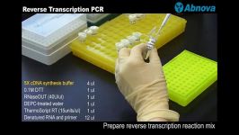 روش pcr