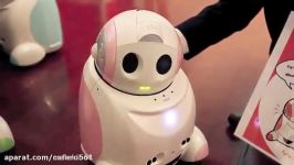 ربات Papero ، دوست داشتنی ترین ربات های جهان کافه ربات