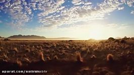 فیلمطبیعت حیات وحش آفریقای جنوبی