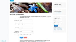 VDM Frontend RSForm Profile Plugins