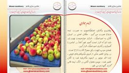 فرآیند تولید سرکه سنتی سیب به روش تخمیری
