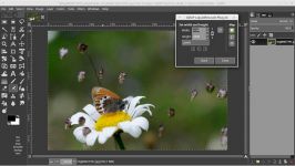 GIMP 2.9.5 AppImage + PhotoFlow plug in tutorial