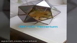 DIY Build your own CD Terrarium BlueSparkles☆