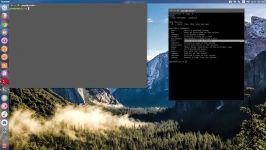 Snap Manager Installing Snaps on Ubuntu 16.04 LTS