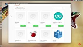 Snap web store on Ubuntu 16.04